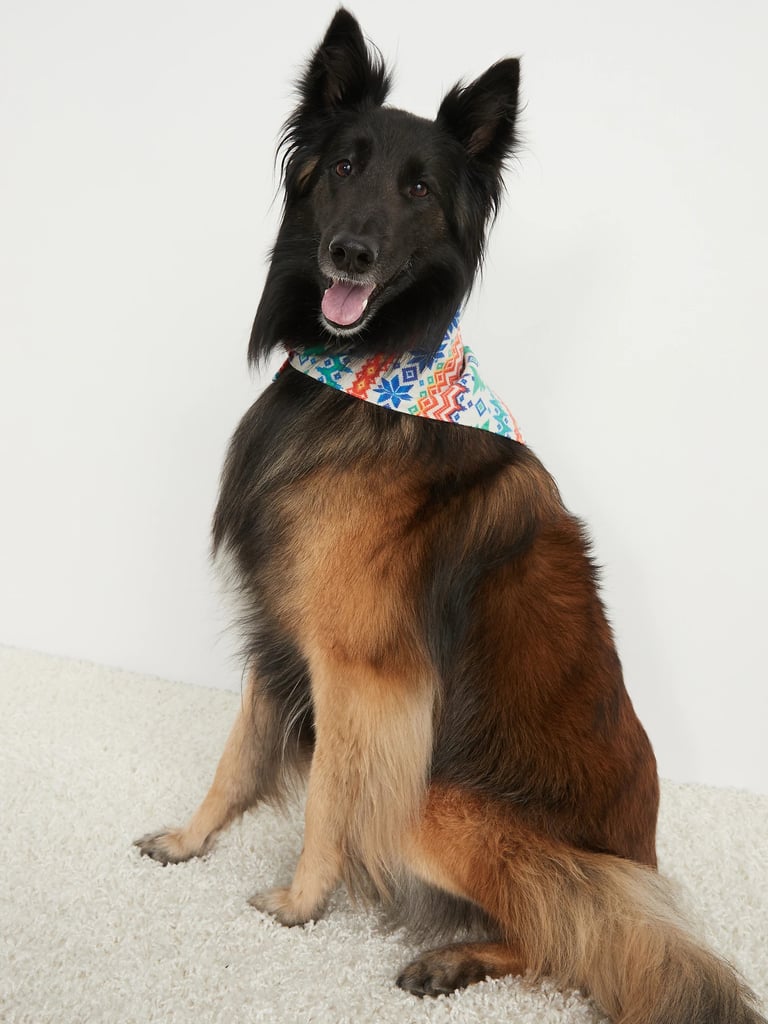 Old Navy Patterned Flannel Bandana in Multi Fair Isle