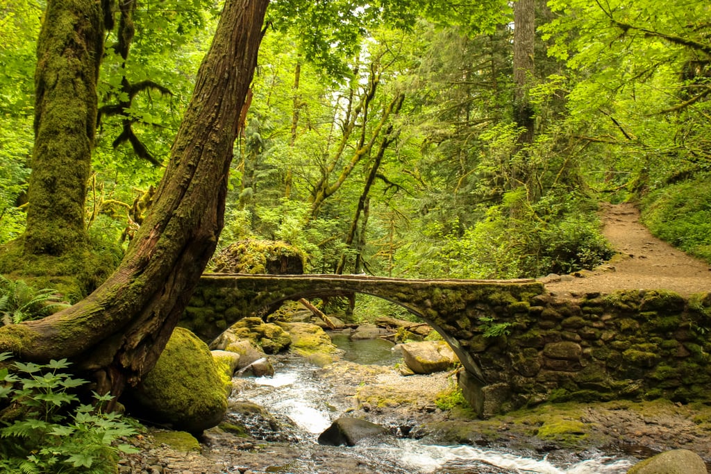 If you're seeking true tranquility, well, my friend, you're in luck as there are countless trails outside of Portland waiting to be explored. Let your soul be buoyant and free as you get lost — figuratively not literally! — in gorgeous lush pockets of the forest and reconnect with nature.