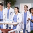 A Guide For the New and Returning Characters in "Grey's Anatomy" Season 19