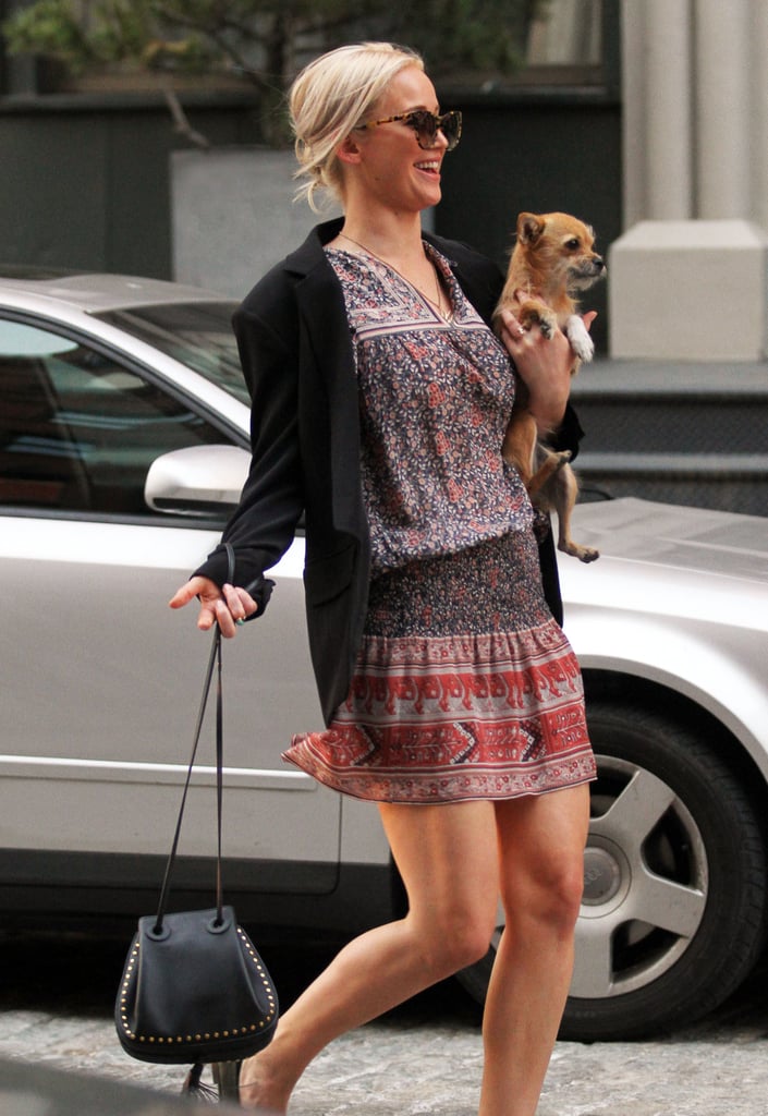 Jennifer Lawrence Out With Her Dog in NYC April 2016