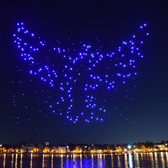 Disney World Drone Show Pictures