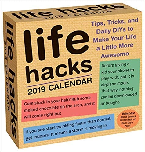 Life Hacks 2019 Day-to-Day Calendar
