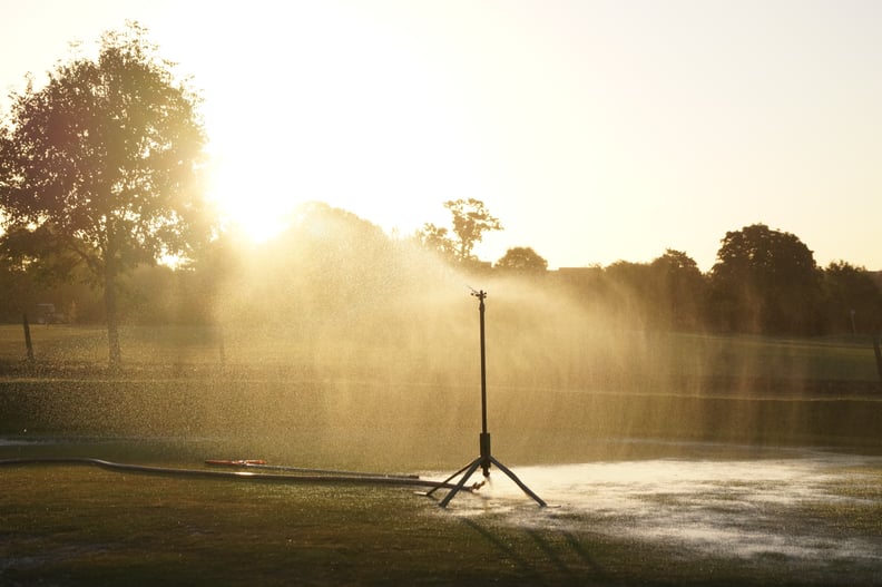 Play in the Sprinkler