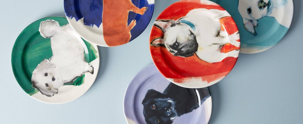 Anthropologie's New Kitchenware Is So Stunning, Our Shopping Carts Are Overflowing