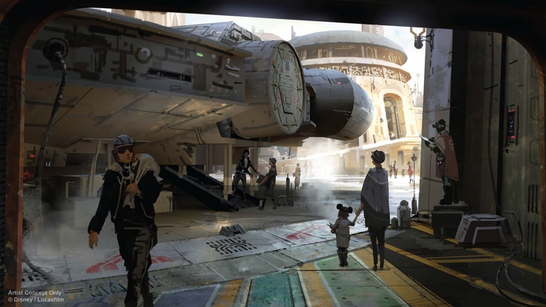 Here's what the entrance to fly the Millennium Falcon will look like.