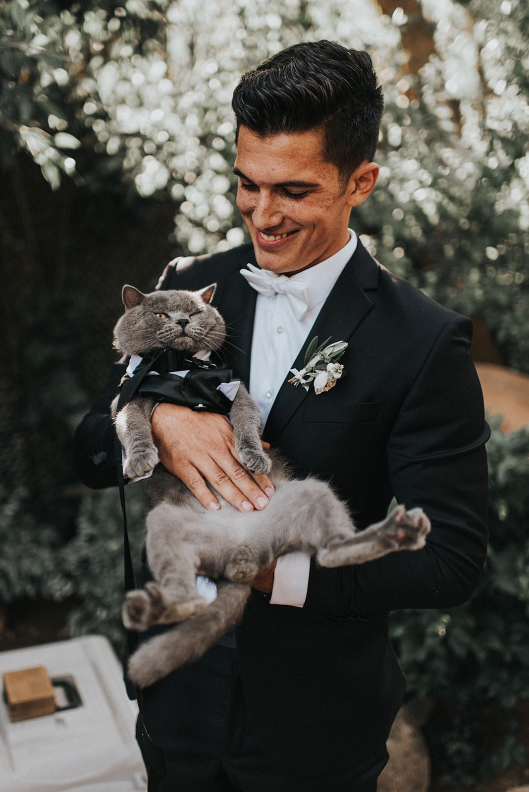 Photos Of A Cat Who Was The Best Man In A Wedding Popsugar Family