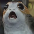 The Internet Is Obsessed With the Adorable New Creature in The Last Jedi Trailer