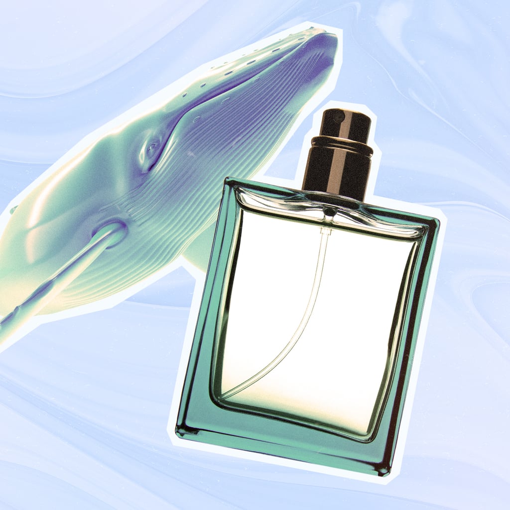 Is Whale Vomit What's Making Your Perfume Smell So Good?