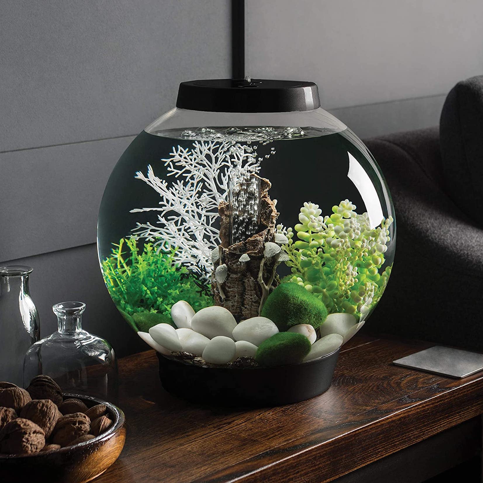 Thee 20 Best Fish Tanks for Beginners