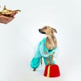 Even Your Dog Can Be a Disney Princess This Halloween