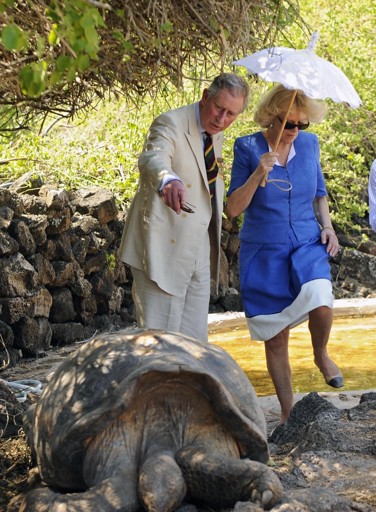 Photos of Prince Charles With Animals