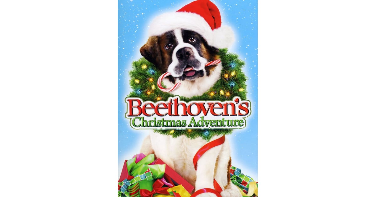 Beethoven's Christmas Adventure | Christmas Movies For ...