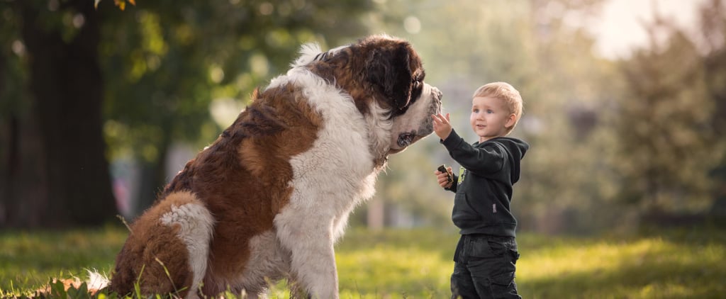 Photo Series on Big Dogs and Little Kids