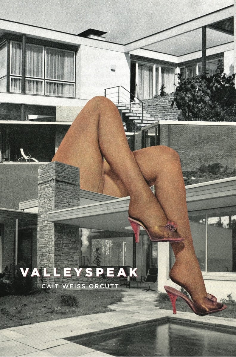 Valleyspeak Book