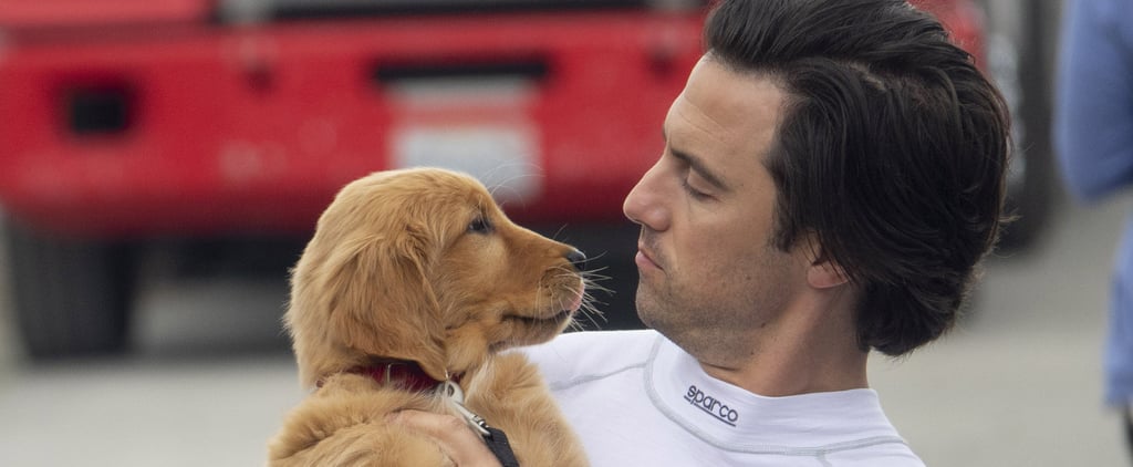 Milo Ventimiglia's Sweet New Film Looks Like the Next Marley & Me