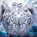Who Are the Snow Owls on The Masked Singer Season 4?