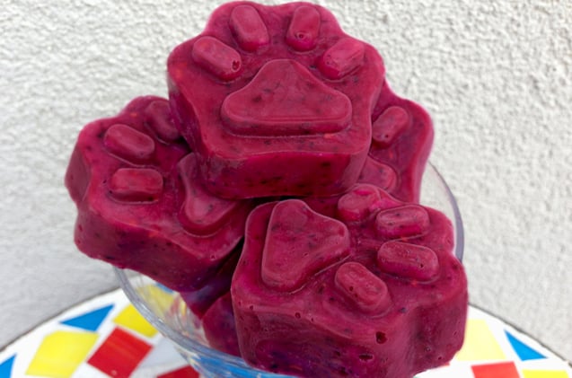 Frozen Mixed Berry Dog Treats Recipe POPSUGAR Pets