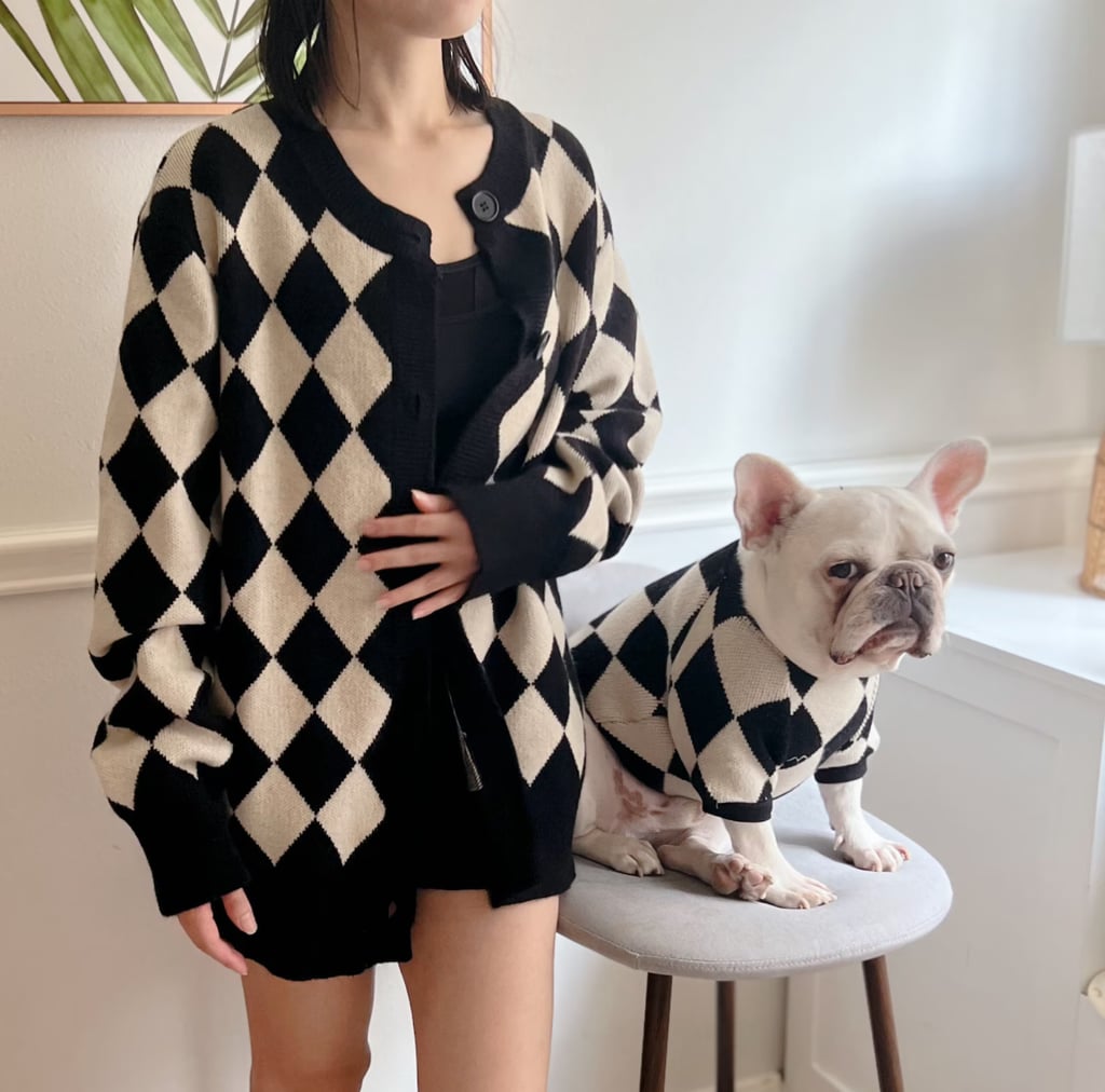 Best Matching Human-and-Dog Sweaters on Etsy