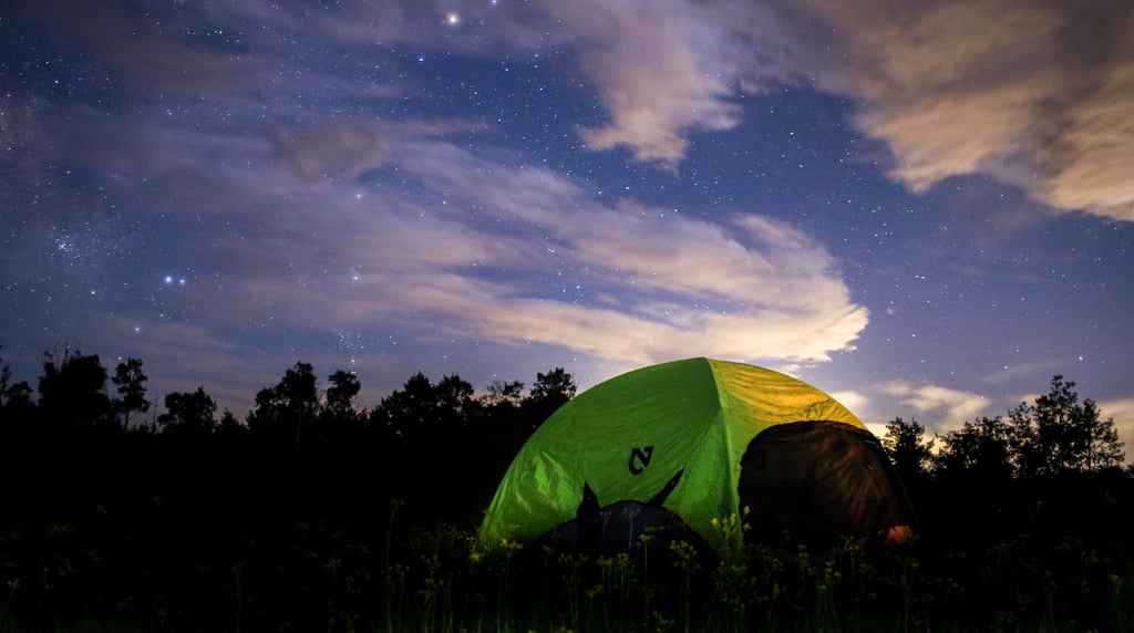 Camp in the backyard.