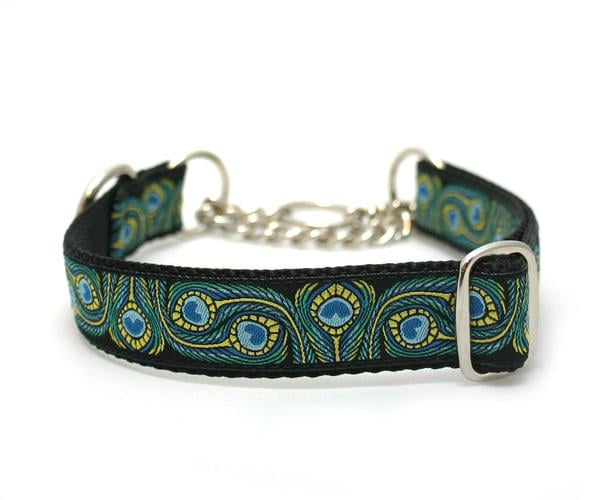 Royal Peacock Dog Collar ($21)