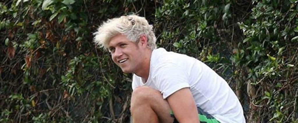 Niall Horan's Platinum Blond Hair | Spring 2016