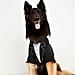 Old Navy Dog Clothes and Sweaters