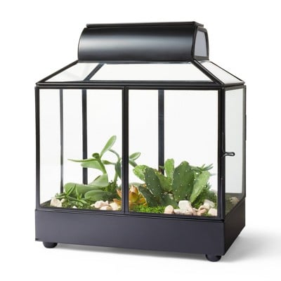 Hilton Carter for Target Iron/Glass House Terrarium Planter