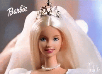 The Perfect Bride