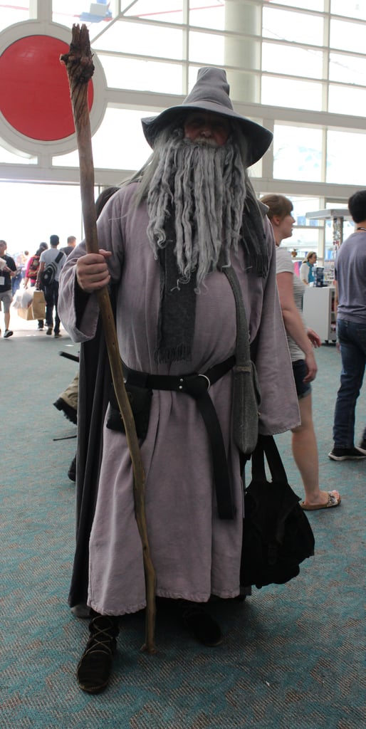 Gandalf the Grey