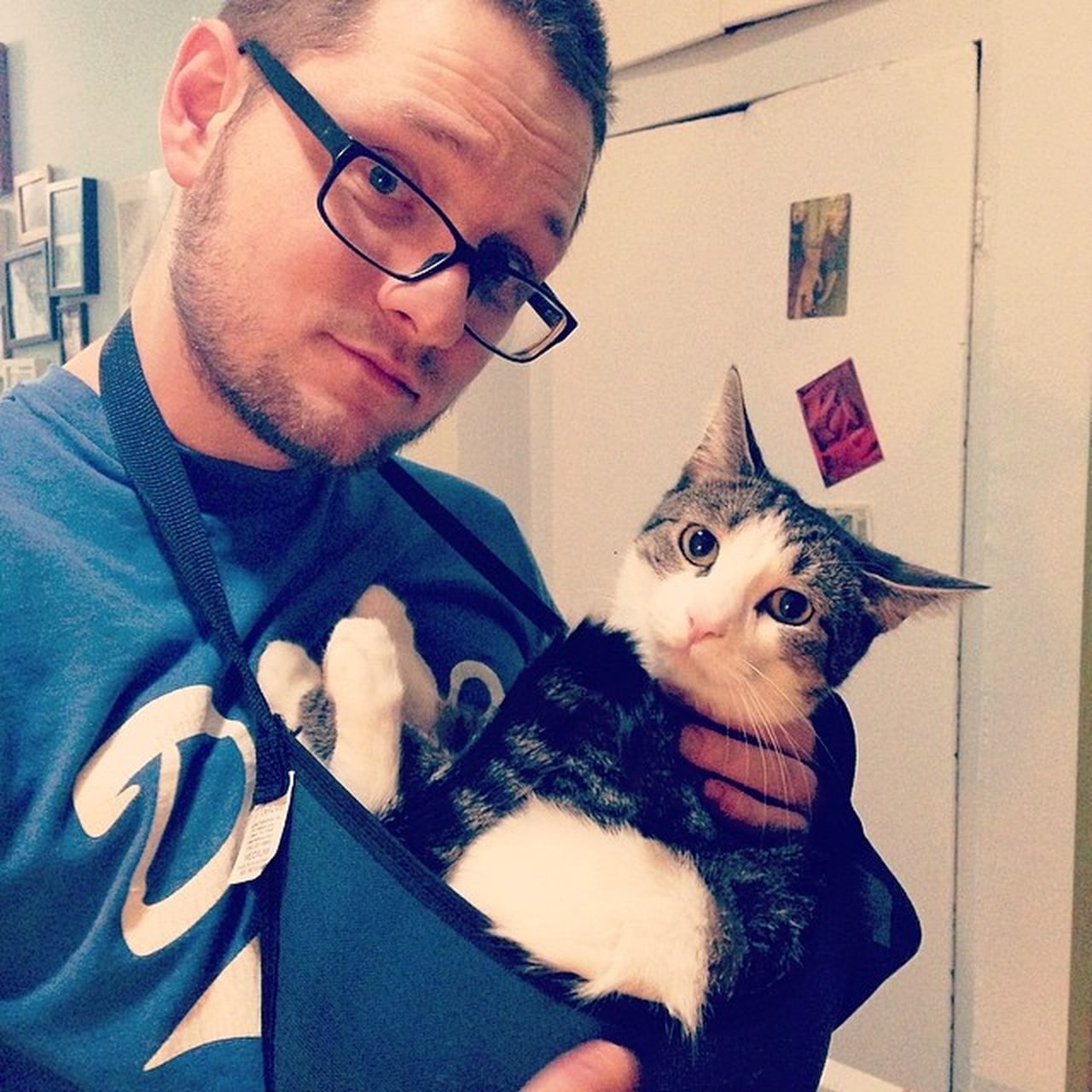 Cat Slang POPSUGAR Tech