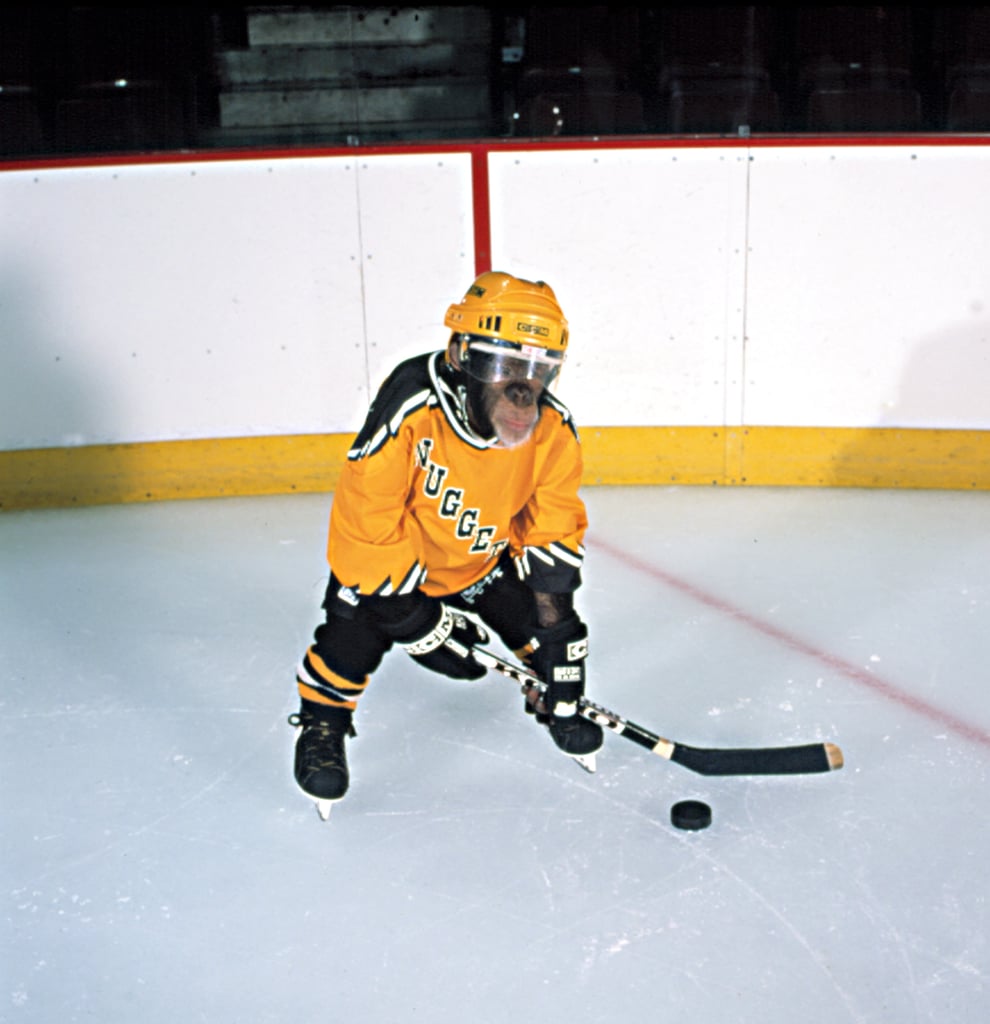 MVP Most Valuable Primate Free Family Movies For Kids Streaming on