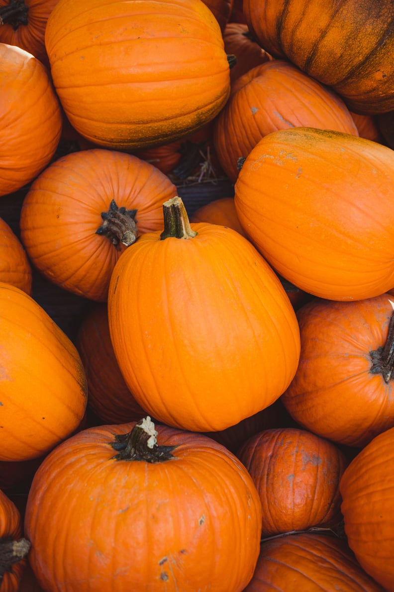 Fall Background: Pumpkins iPhone Wallpaper