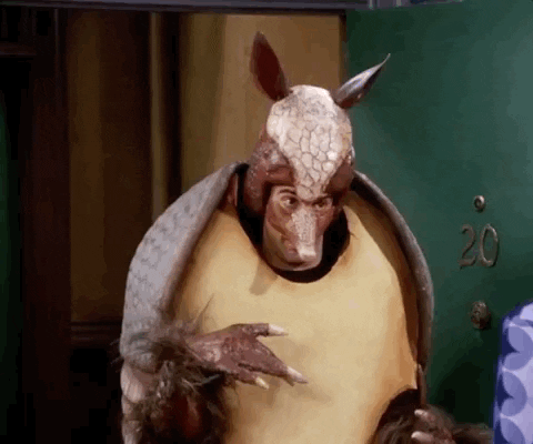 Friends, "The One With the Holiday Armadillo"