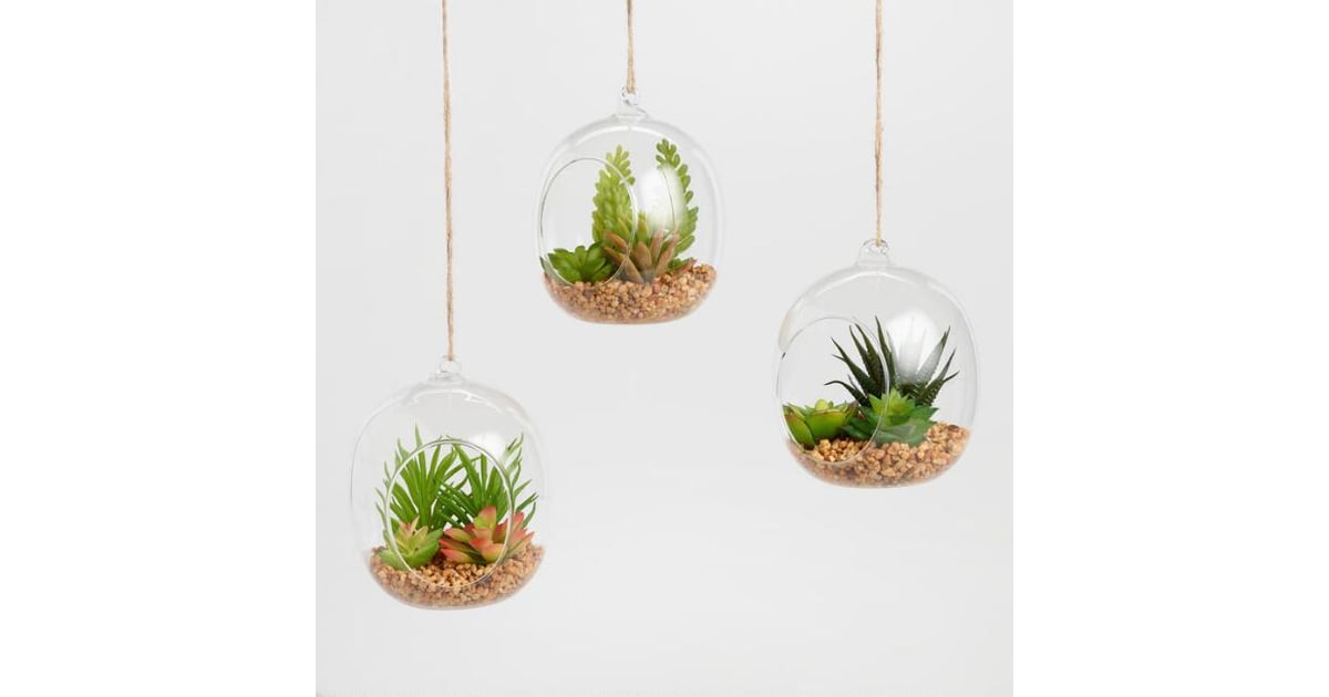 World Market Glass Globes Succulents Grandpa Gifts POPSUGAR Smart