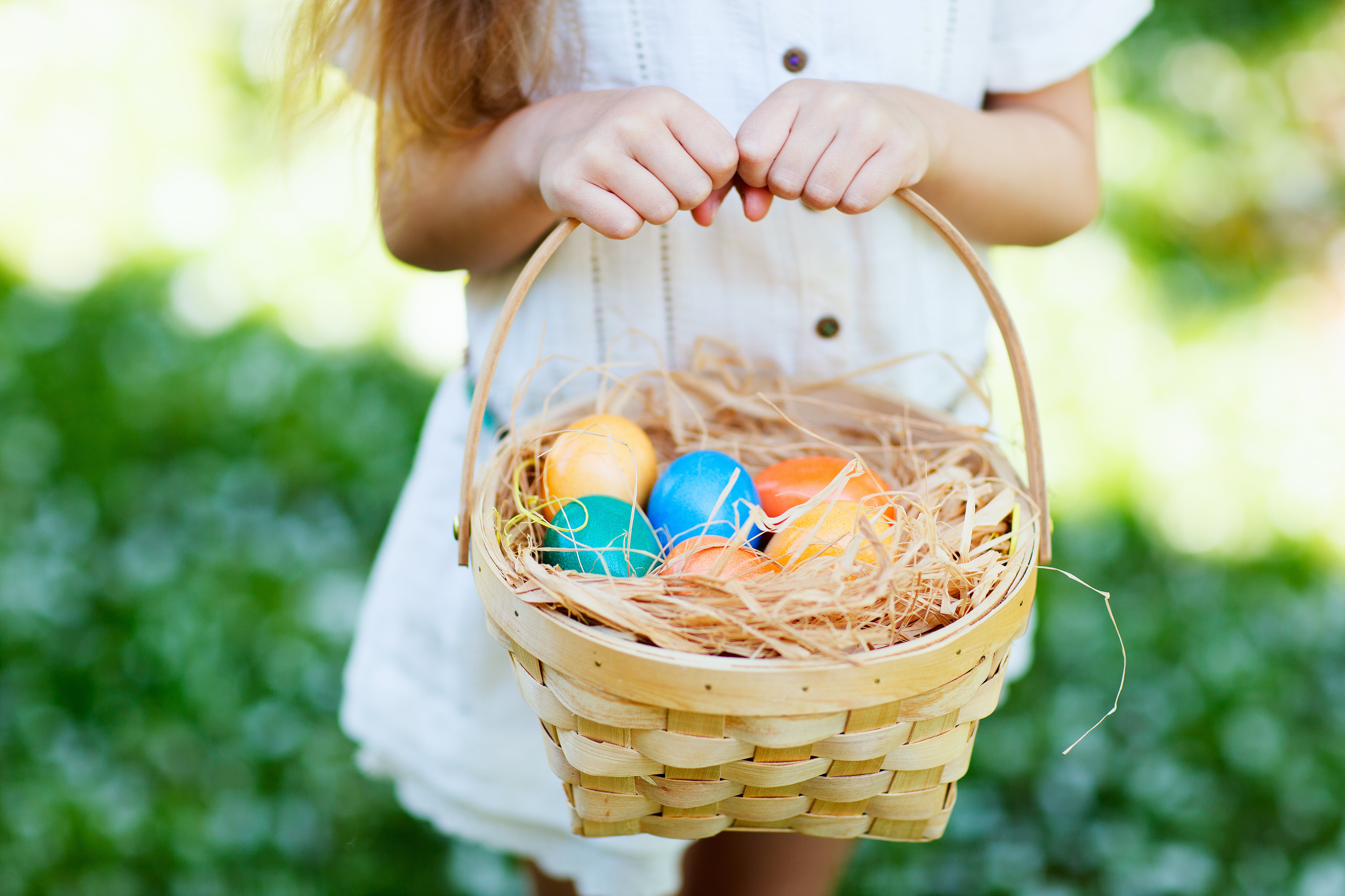 Eggs hunt hotsell easter 2016