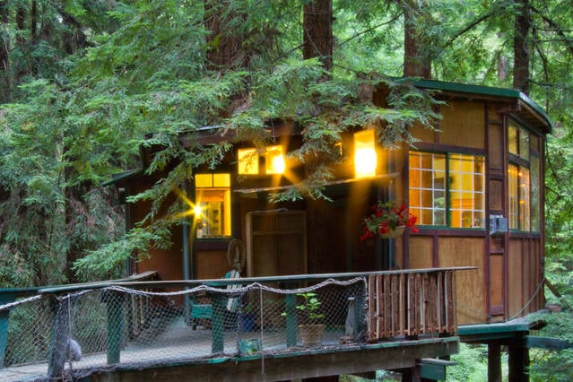 Redwood Treehouse  Cabin