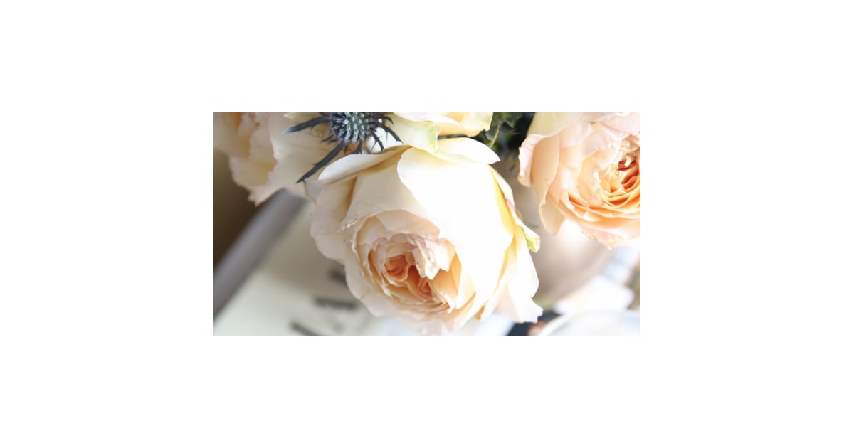 How to Make Roses Last Longer POPSUGAR Home