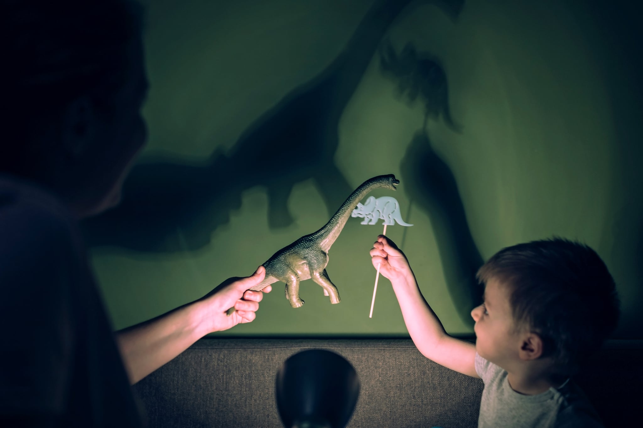 Mother and little boy playing with dinosaur shadows