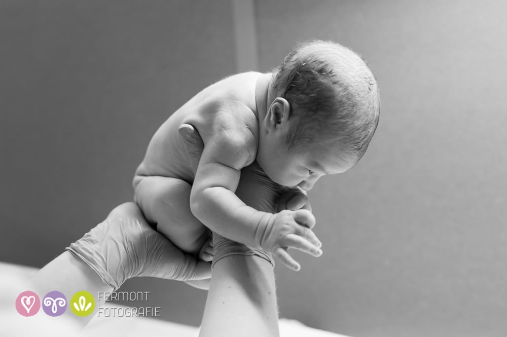 Photos of How Babies Fit Inside of Womb