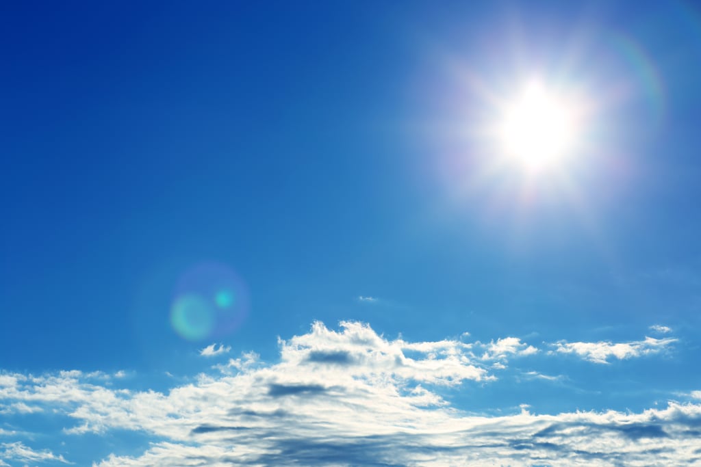 Funny Friends Take Selfies On A Sunny Day Stock Photo Image Of