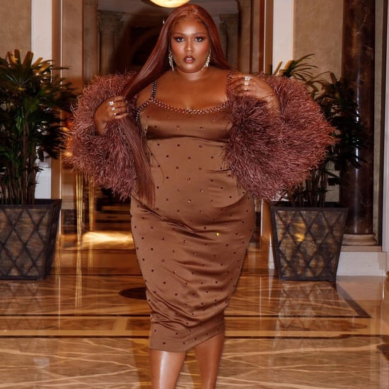 Lizzo's Brown Dolce & Gabbana Dress For Her Vegas Birthday