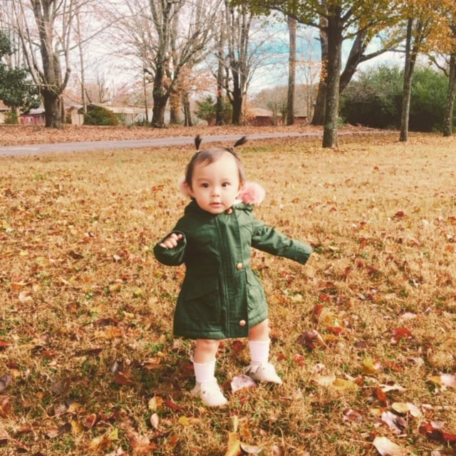Baby deals gerber 2019