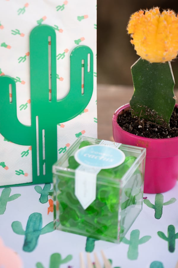 Cactus Gummies