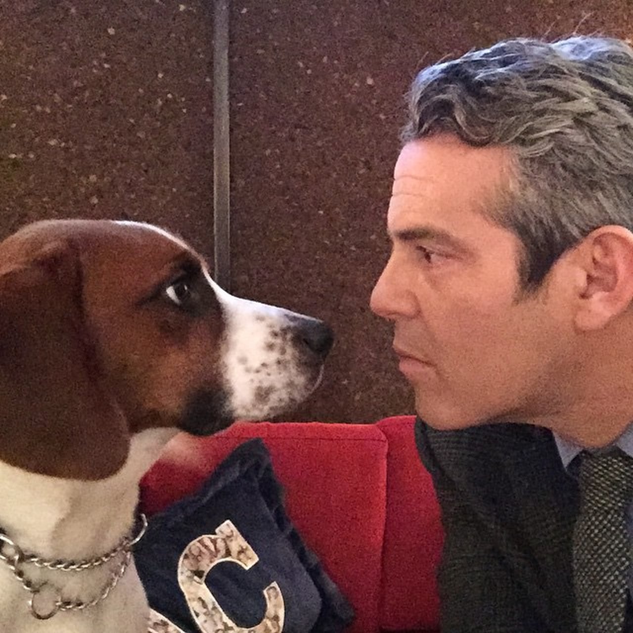Andy Cohen and Dog Wacha Gifts POPSUGAR Pets