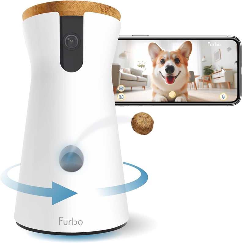 Best Pet Camera Deal