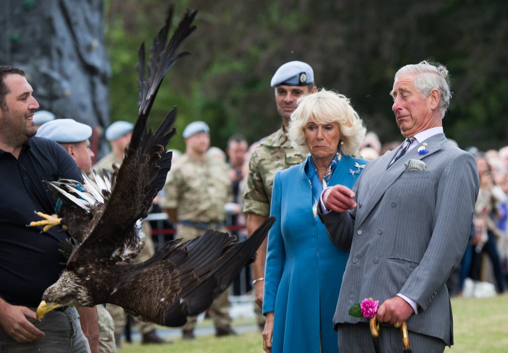 Charles and Camilla got up close and personal with a bald eagle called Zephyr at the Sandringham Flower Show in July 2015.