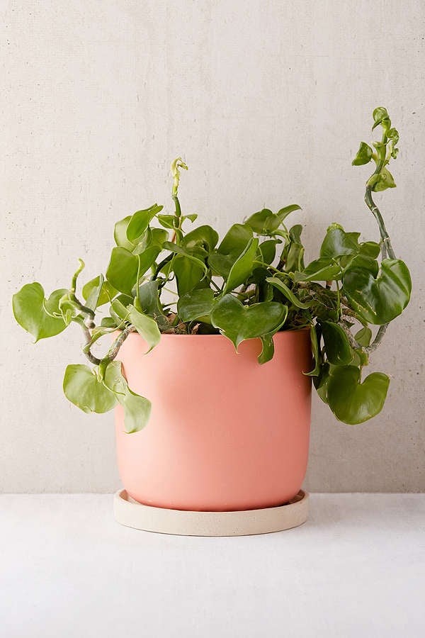 Parker 10" Planter and Tray Set ($59)
