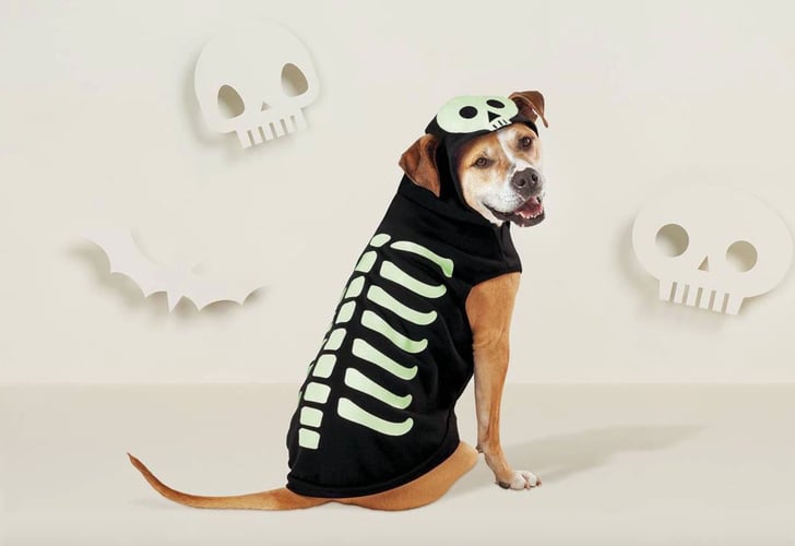 Dog Halloween Costume, Ruff Night