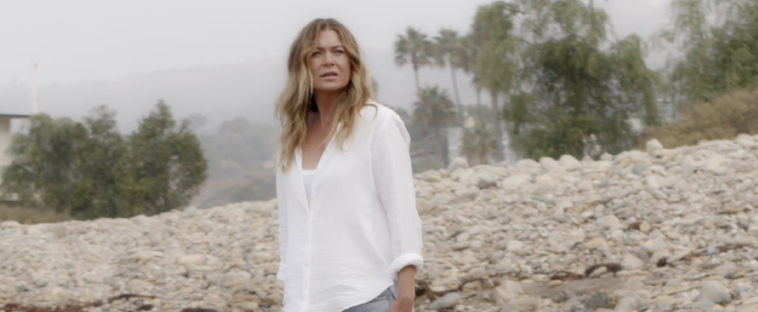 Is Grey's Anatomy Ending With Season 17? | PS Entertainment