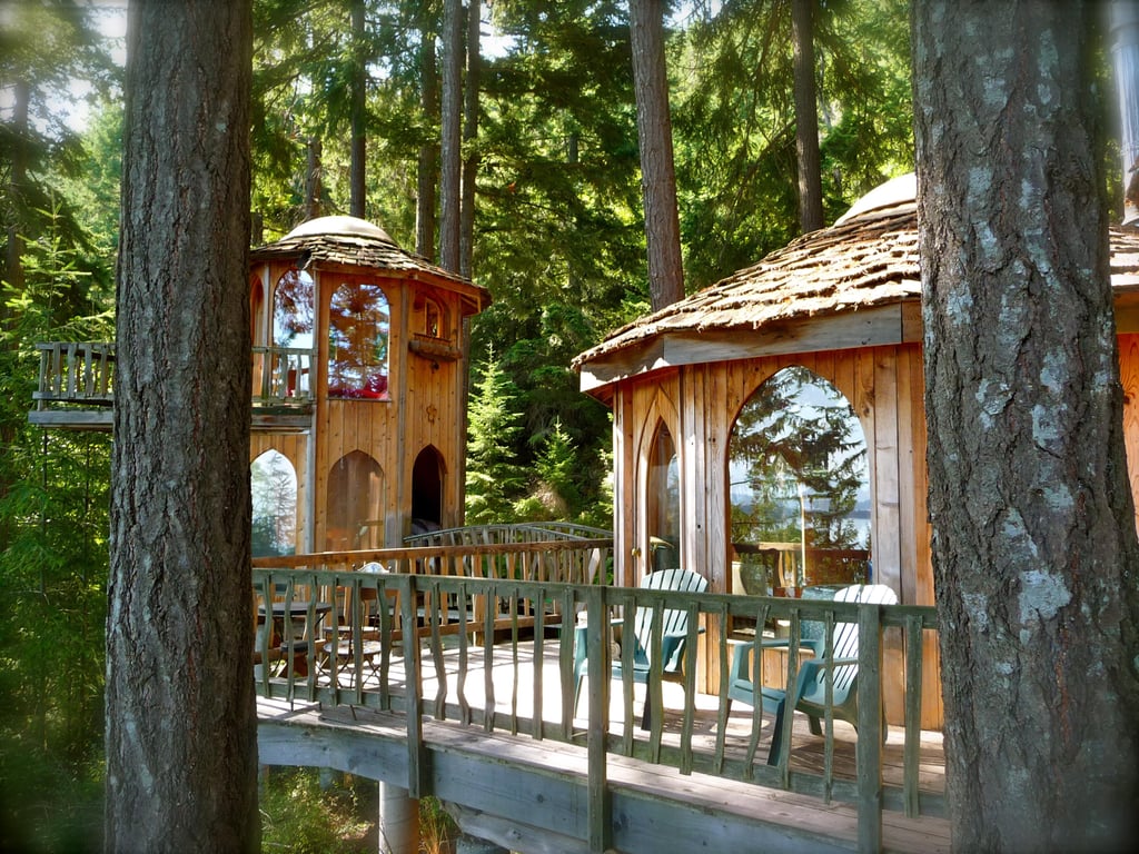 Tree House Rental in Washington